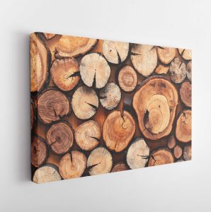 shutterstock_687345520-yatay-scaled-1